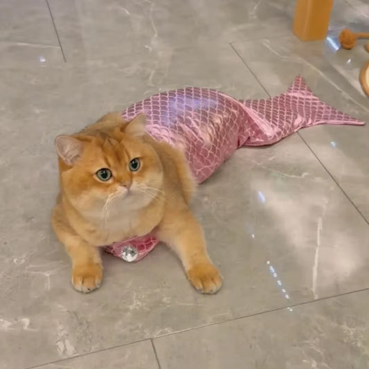 Pet Cat Mermaid Pet Costume Dog Dresses Funny Swimsuit Fish Tail Design Cute Bikini Dog Summer Pet Halloween Clothing